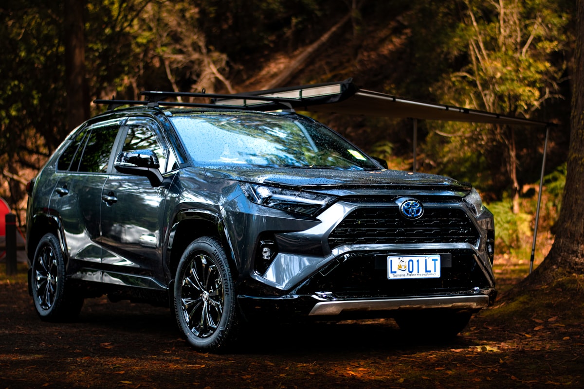 Toyota RAV4 noir dans un décor naturel.